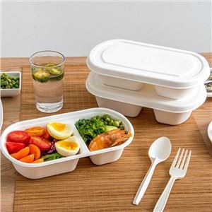 אריזות מזון קני סוכר Bagasse